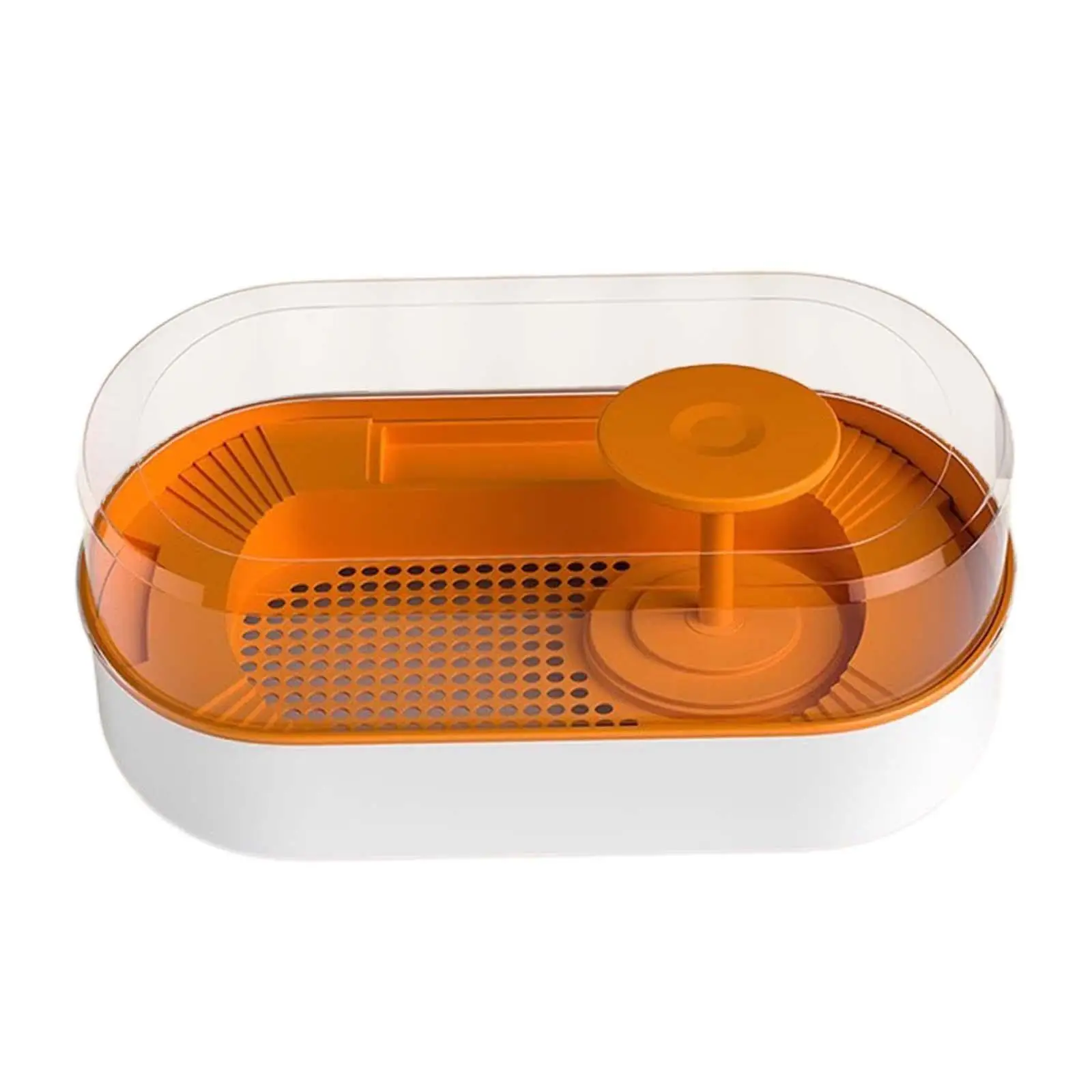 Reptile Habitats Feeding Box Tortoises Resting Decor Small Amphibious Creatures with Platform Turtle Breeding Tank Reptile Tank