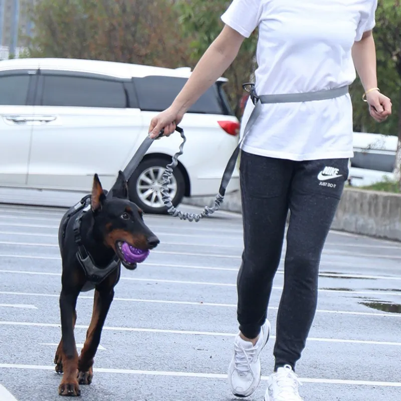 Correa de nailon para perros, correas elásticas para caminar, trotar, multifunción, suministros para mascotas - imagen 3