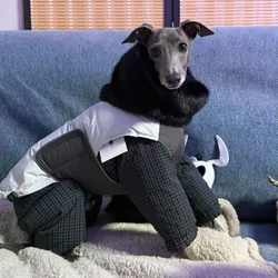 Abrigo de plumón para Whippet – Cuello de visón, cálido para invierno