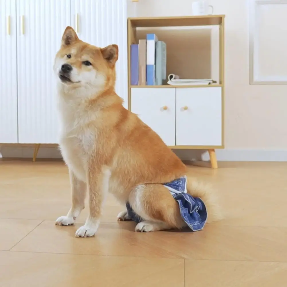 Pantalón Menstrual para perros, ropa interior para Menstruación, pañales lavables para cachorros, bragas protectoras sanitarias para orinar excitativa - imagen 5