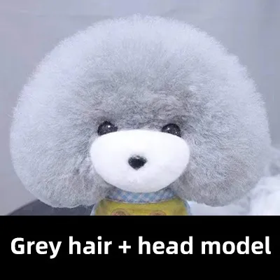 Gray hair headmodel