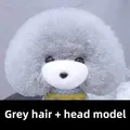 Gray hair headmodel