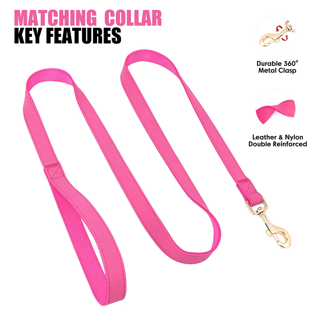 Conjunto collar y correa para perro personalizado con placa grabada - imagen 4