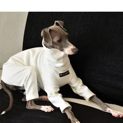 Jersey de invierno para Whippet – Cuello alto elástico de algodón