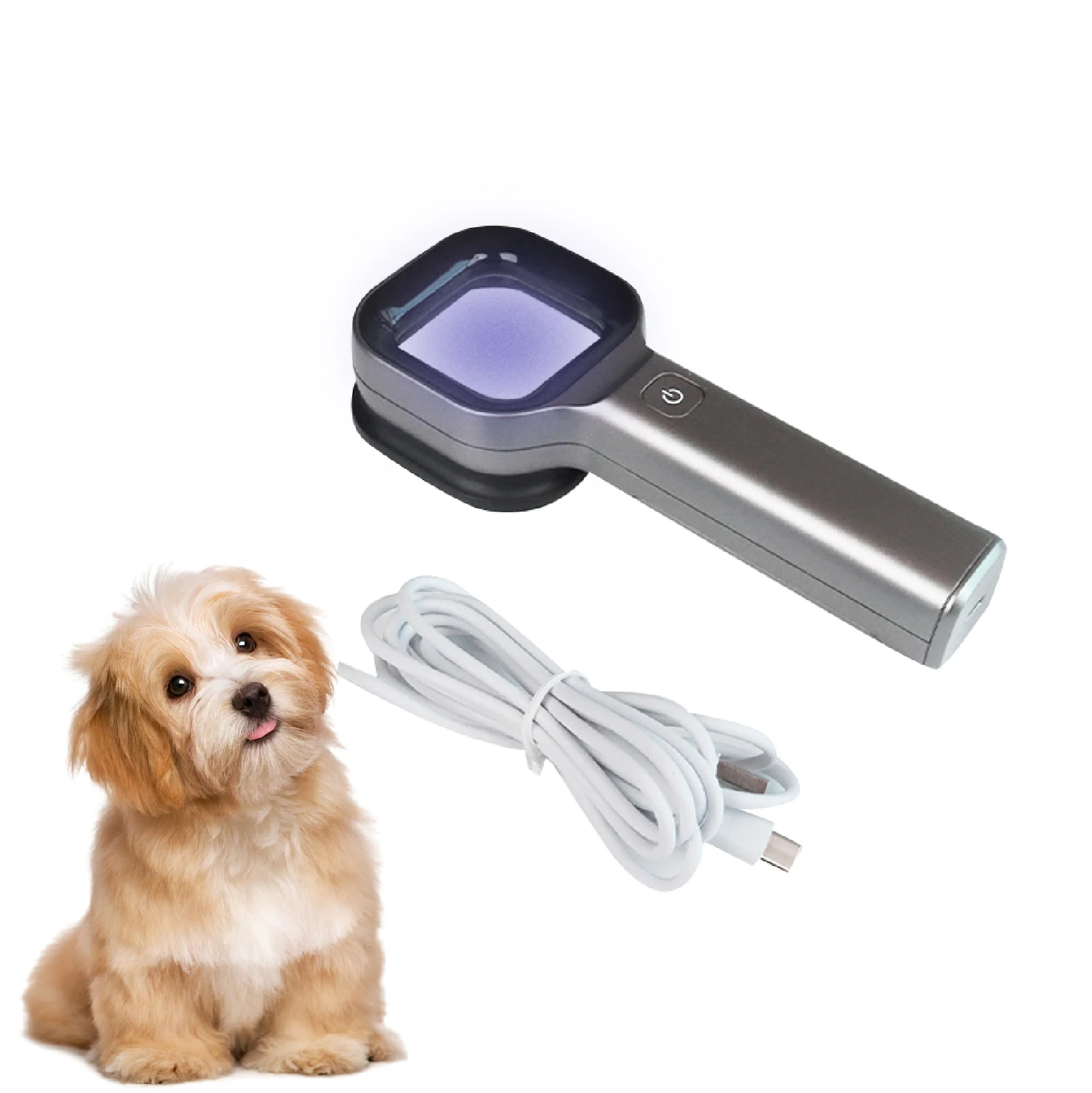 Luz de madera para examen de piel, para gato, perro, tiña, lámpara UV de mano para madera, Detector de hongos en la piel, Vitiligo, Pityriasis, Versicolor - imagen 3