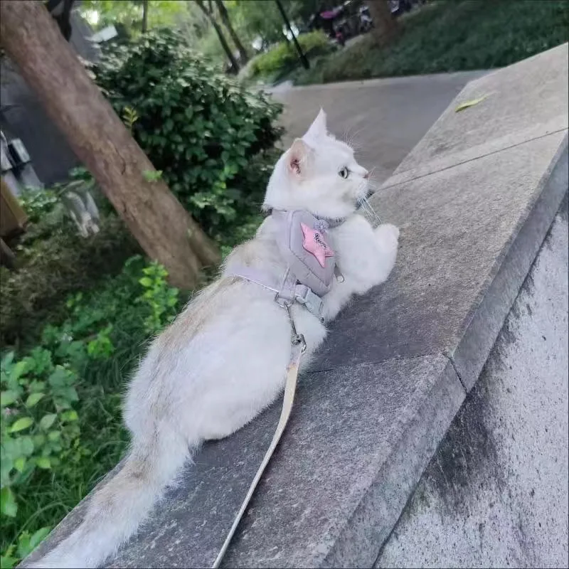 Juego de arnés y correa para gatos y perros pequeños, con estampado de dibujos animados, con mochila, accesorios de cuerdas para gatitos - imagen 4