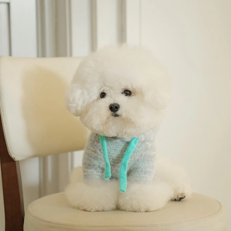 Suéter de punto elástico Simple para otoño e invierno para mascotas, suéter con capucha de felpa, ropa para cachorros con capucha de otoño e invierno - imagen 4