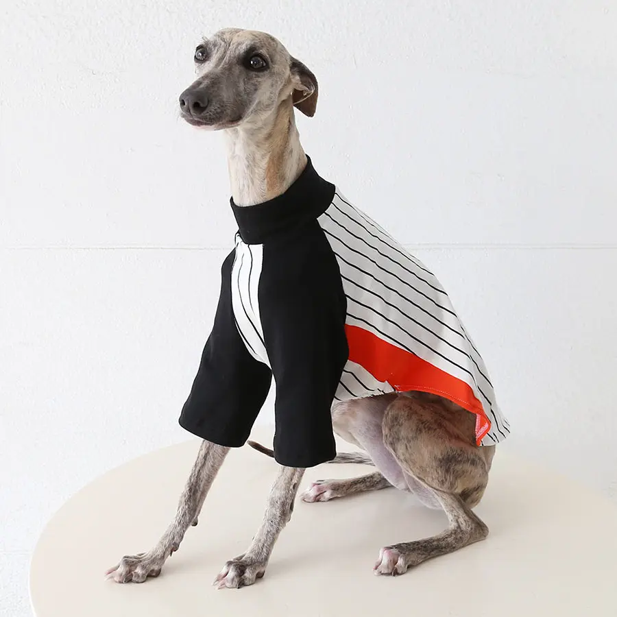 Camiseta algodón manga larga para galgo y whippet – Pijama perro - imagen 2