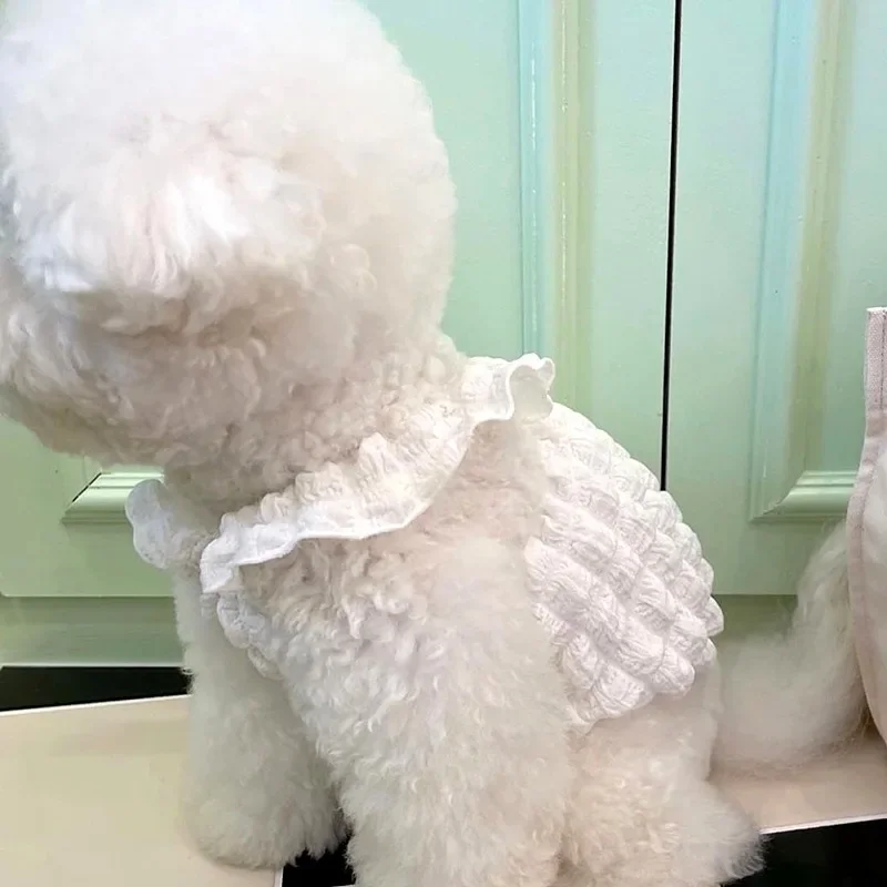 Sin bolsa, ropa para perros de Color macarrón a la moda, chaleco con refuerzo de burbujas de peluche de verano, ropa transpirable para cachorros, vestido, camisola de Color sólido - imagen 4