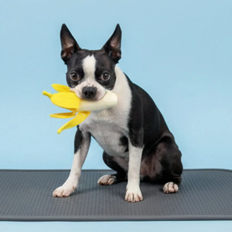 Juguete plátano masticable perros y gatos – Duradero para dentición - imagen 2