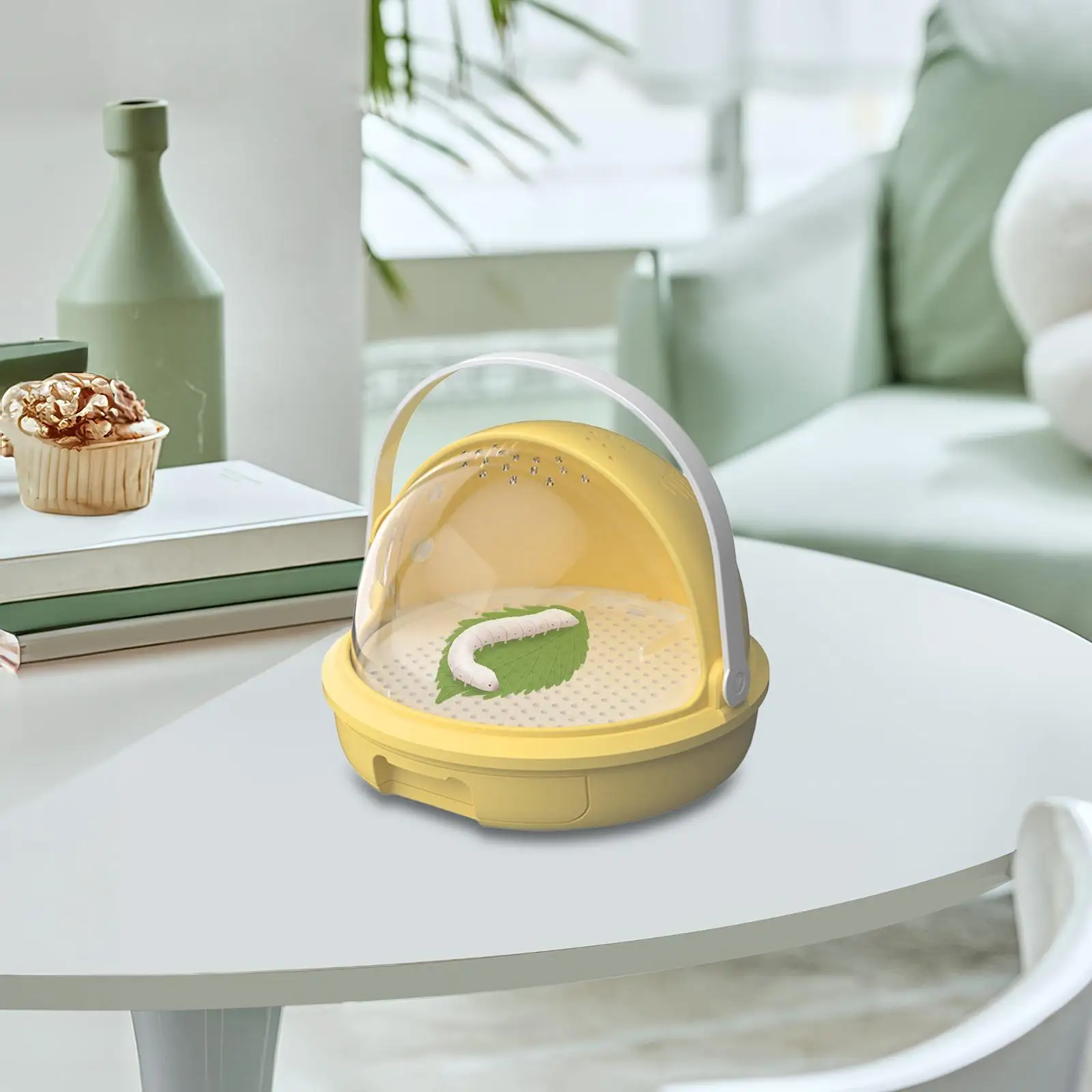 Silkworm Breeding Box Versatile Sturdy Boys Ventilated Holes Learning Feeding Box