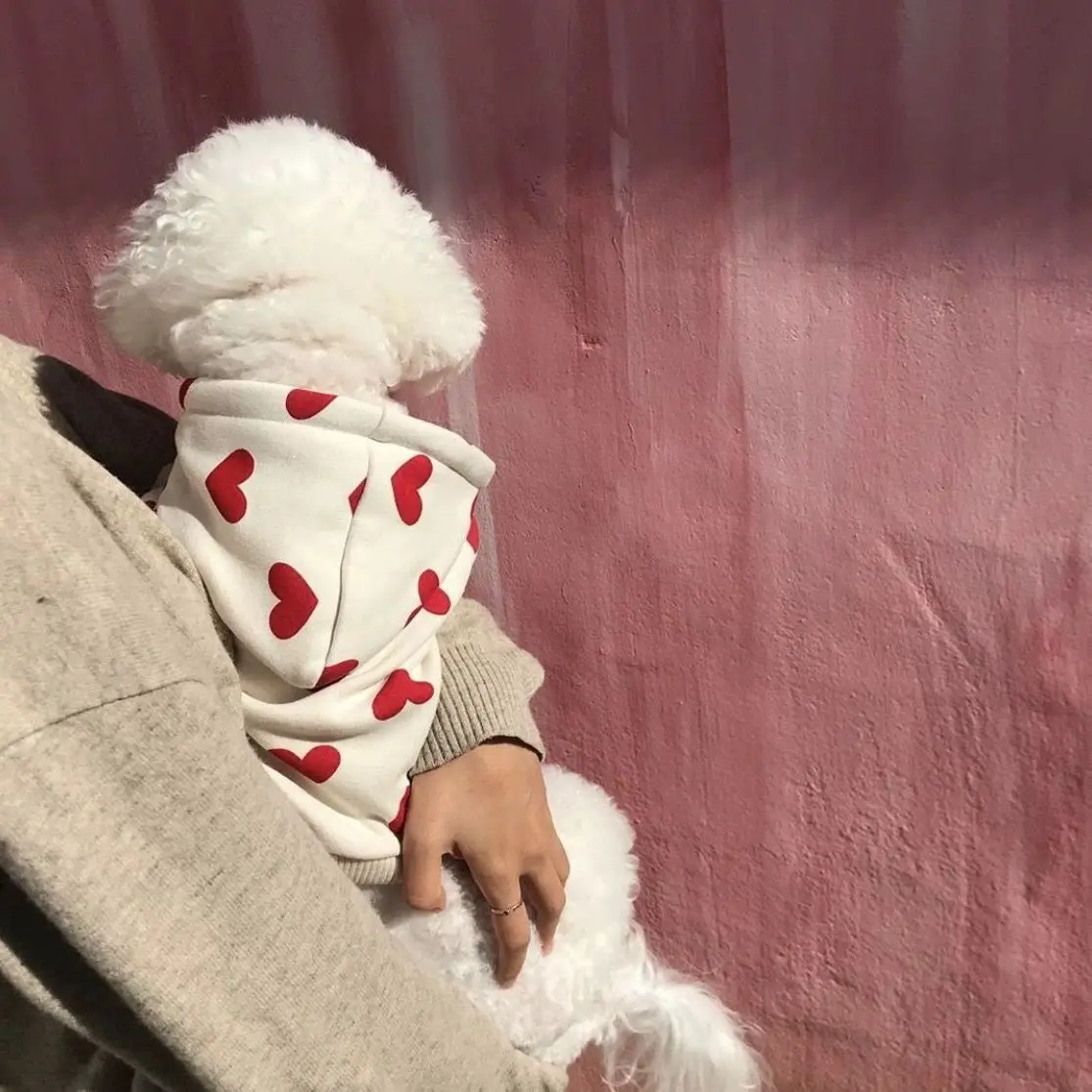 Sudadera con capucha de invierno para mascotas con estampado de corazones y sudadera con capucha de lana para mascotas pequeñas (bichon Frise, Pomerania, perro de peluche, gato - imagen 2