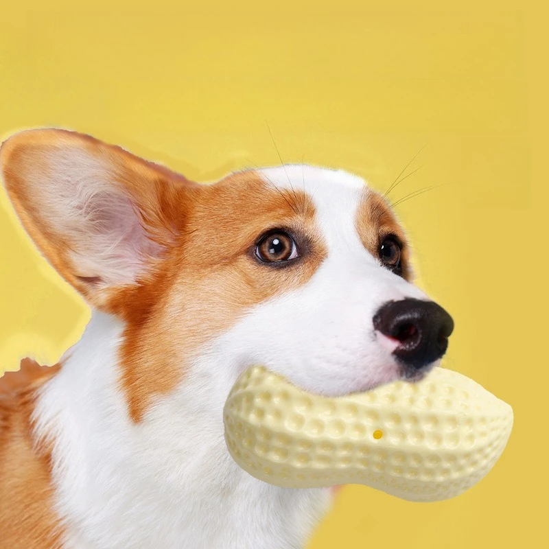 Juguete para masticar para perros, goma que grita, maní, limpieza de dientes, goma antimordedura, Corgi Teddy Shiba Inu, pelota de juguete para perros pequeños - imagen 5