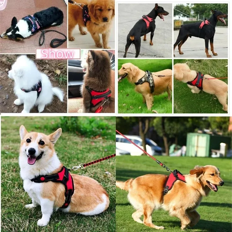 Collares para perros Gargantilla Collar Arnés Correa Entrenamiento para Gps Arneses y prendas Collares Cordón Gran Retráctil Accesorios para perros Cosas - imagen 2