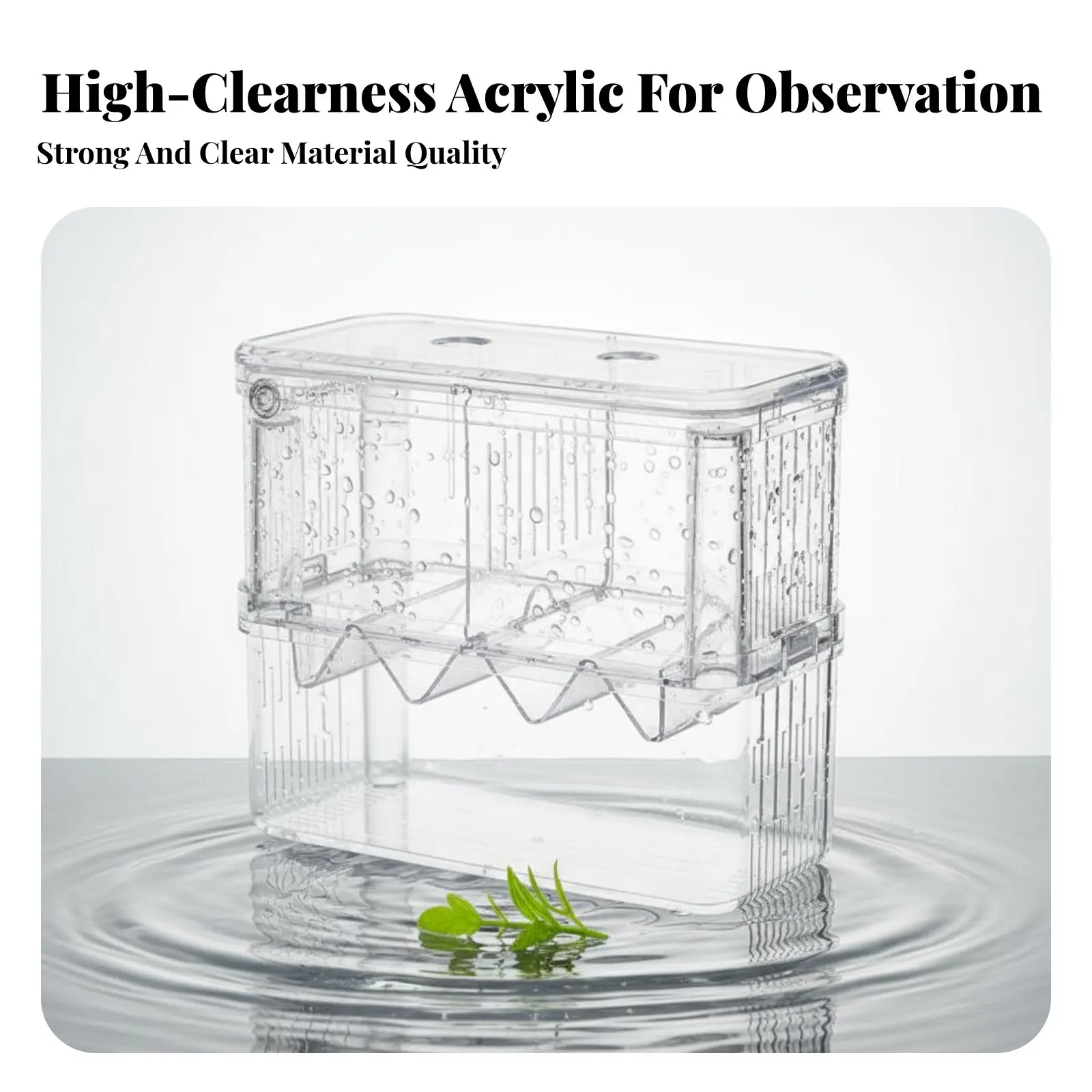 Caja de cría para guppys de doble nivel – Acuario transparente - imagen 2