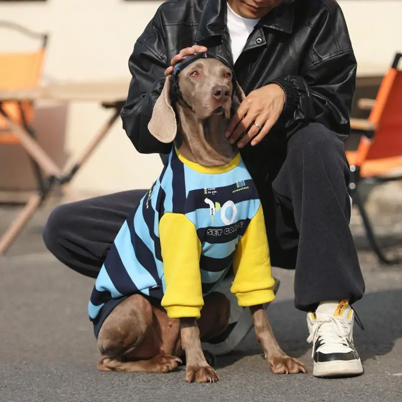 Ropa para perros de primavera y otoño para perros grandes, sudaderas con capucha para perros grandes con gafas, abrigo suave de algodón para Labrador Golden Retriever - imagen 5