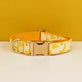 Dog collar02