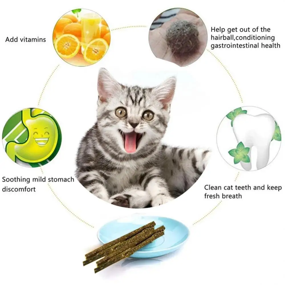 Palo Matatabi Natural para gatos, varillas de menta para atrapar mordeduras, limpieza de dientes, tratamiento, suministro para mascotas, juguetes para gatos, 6 piezas - imagen 5