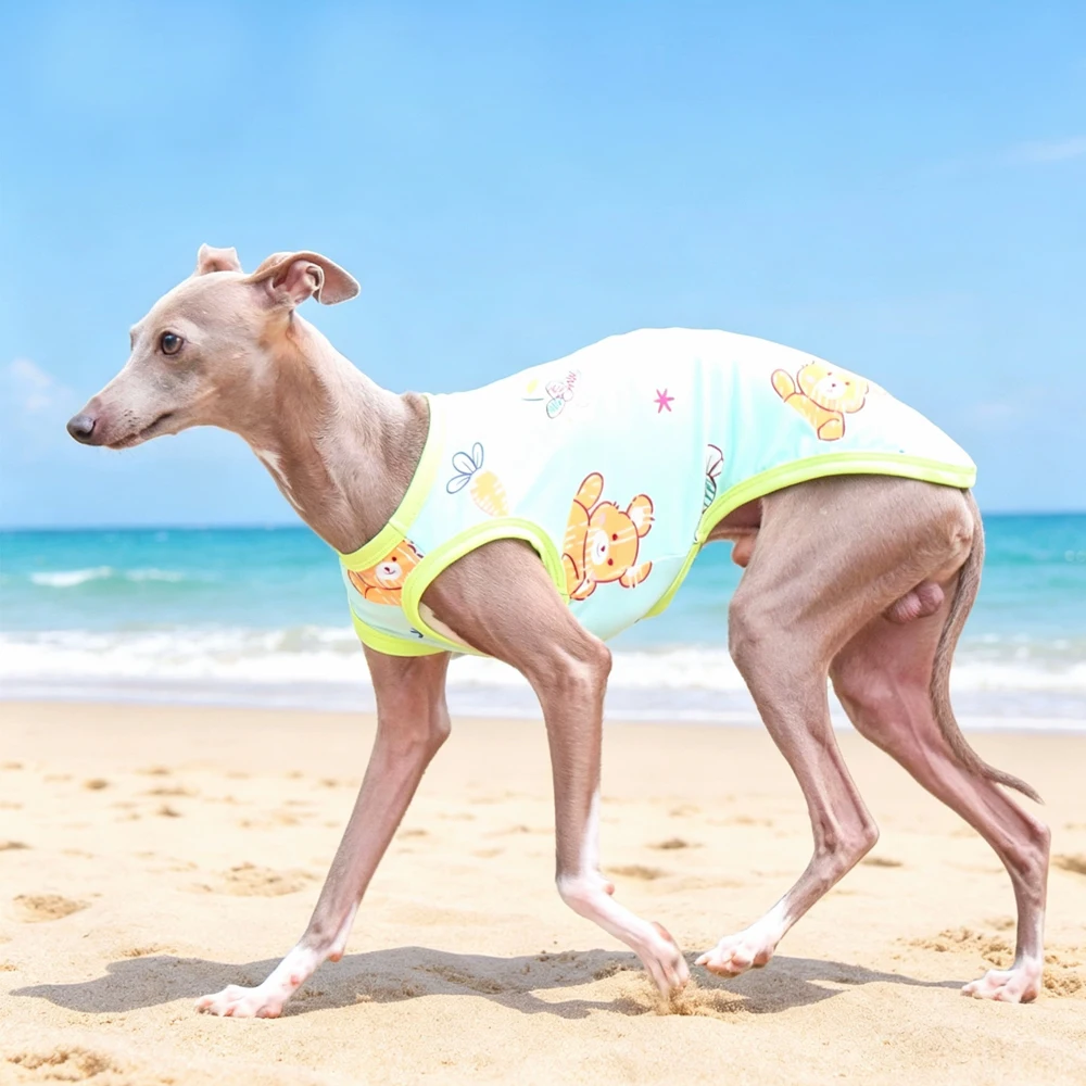 Chaleco de algodón con protección solar para Galgo y Whippet - imagen 2