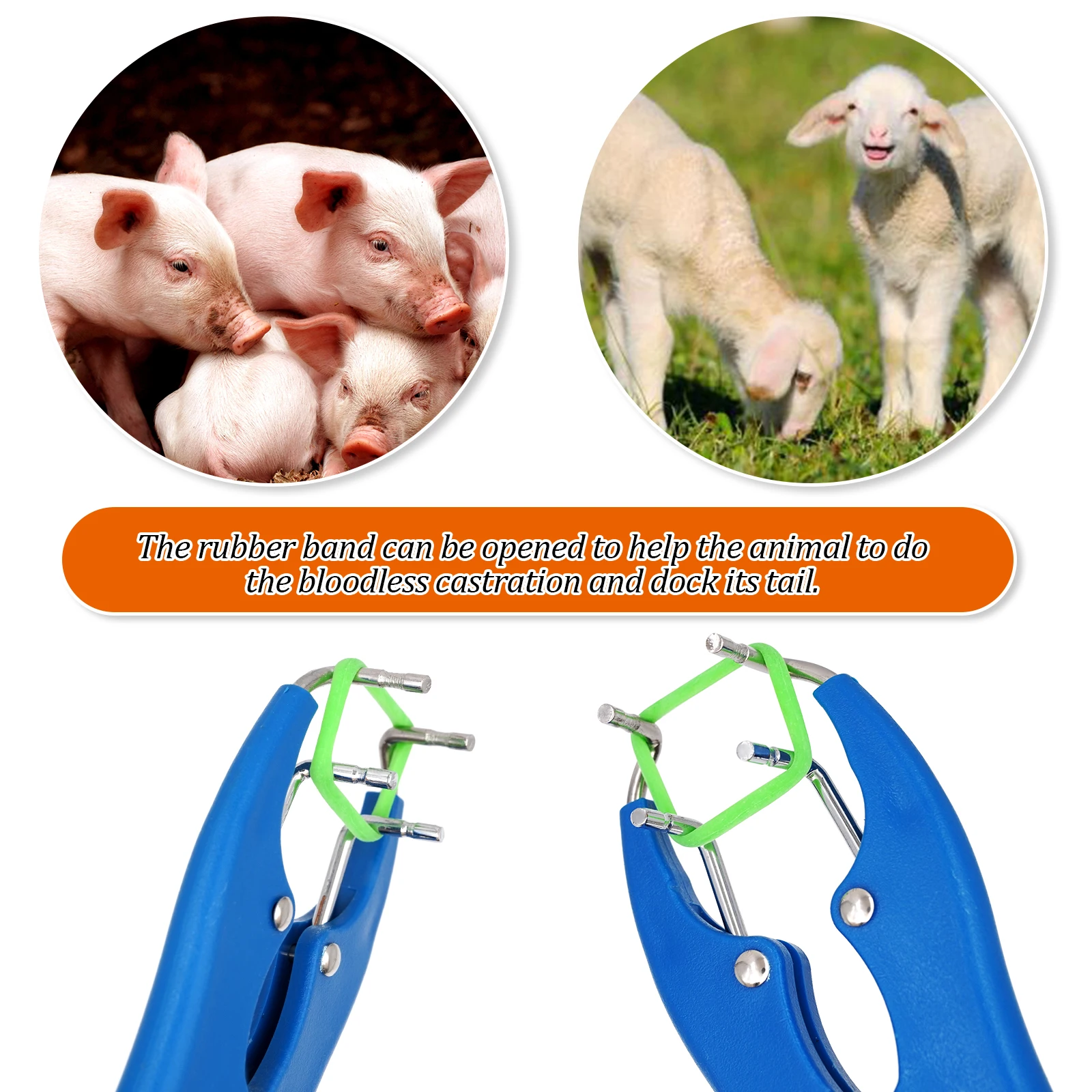 Alicates de expansión de ovejas y animales, pinzas de castración para lechones, abrazadera de acoplamiento de cola, anillos de castrado de cola de cabra sin sangre - imagen 3