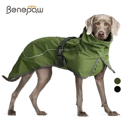 Accesorios para gatos y perros: confort y utilidad para tu mascota