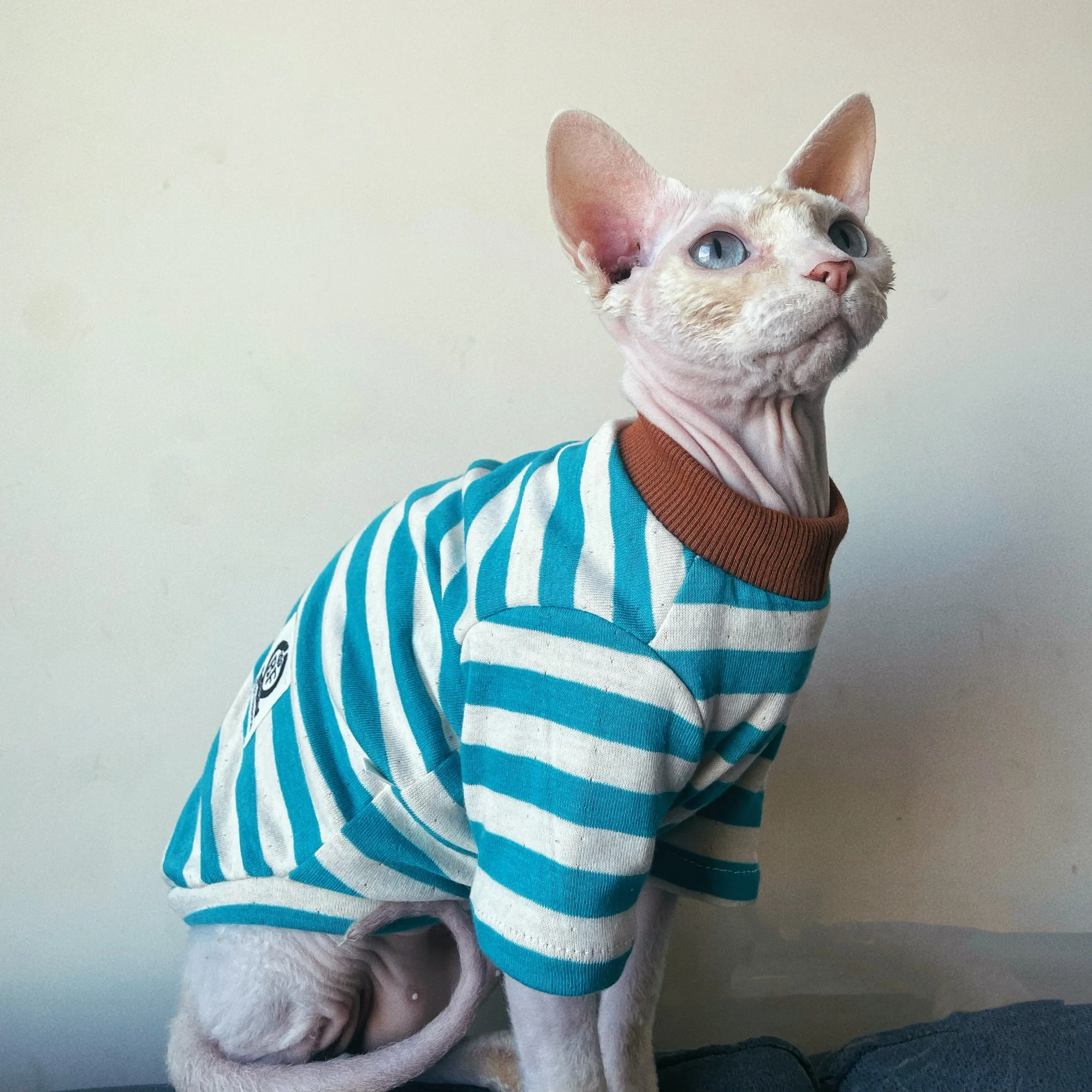 Camiseta azul de algodón a rayas de otoño para gato sin pelo, abrigo rojo suave y cálido de manga larga para pijamas de invierno Sphynx Cat para Devon Rex - imagen 2
