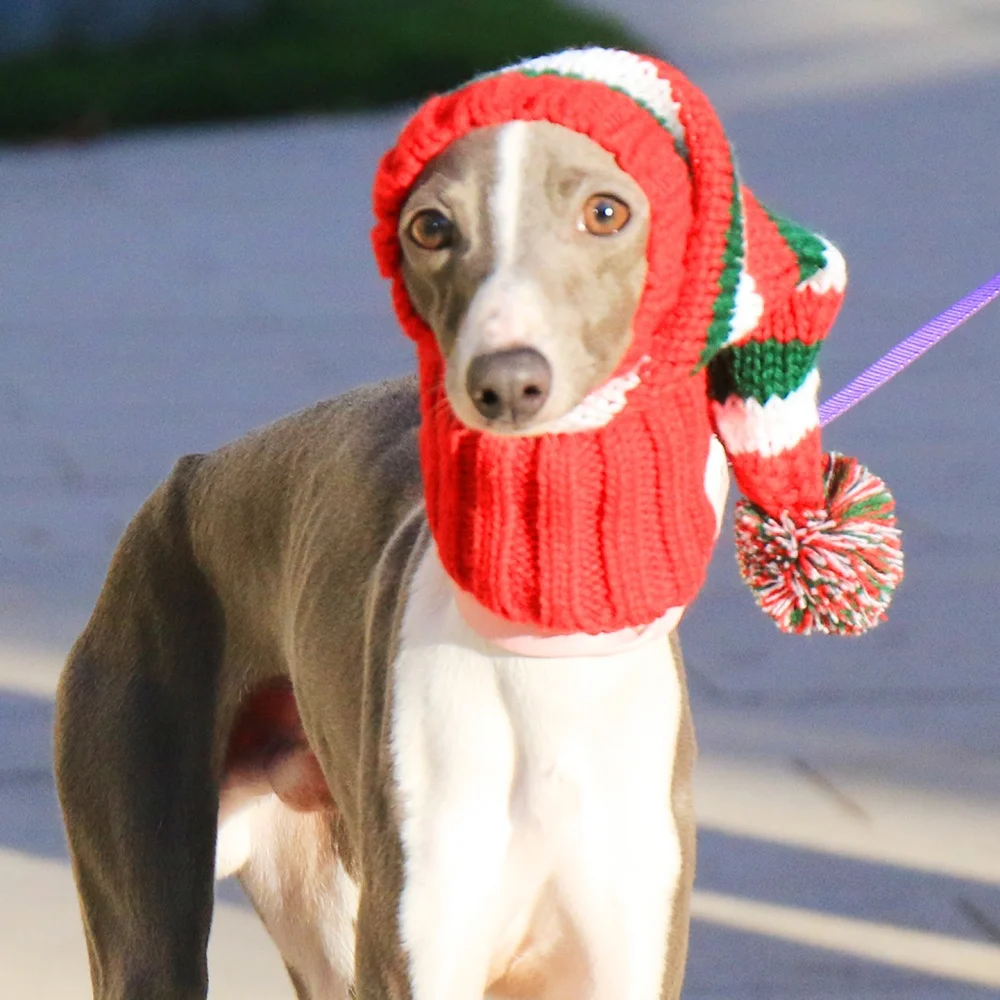 Gorro navideño de punto a rayas rojas con bola de lana para perros medianos, gorro suave y cálido con patrón de Año Nuevo para galgo italiano en invierno - imagen 4