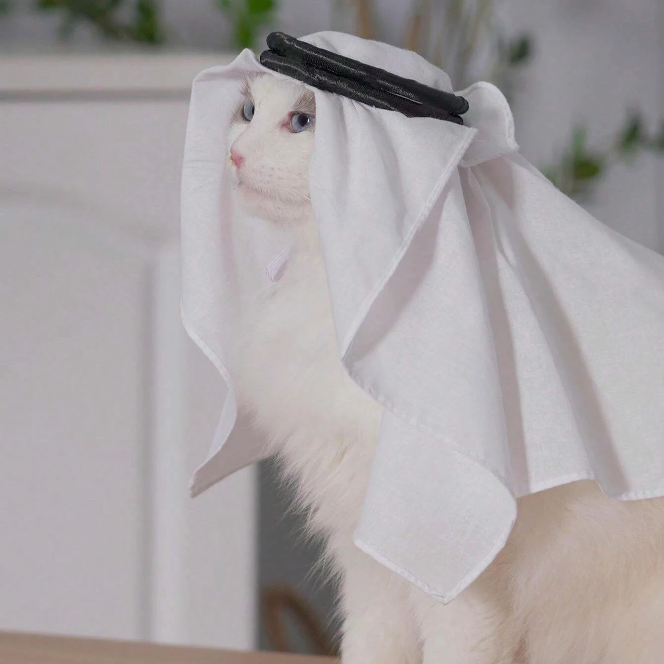 Gorro Bandana para mascotas, protector solar a prueba de viento, a prueba de arena, hecho a mano, disfraz para mascotas, mascota Cos, 1 ud. - imagen 2