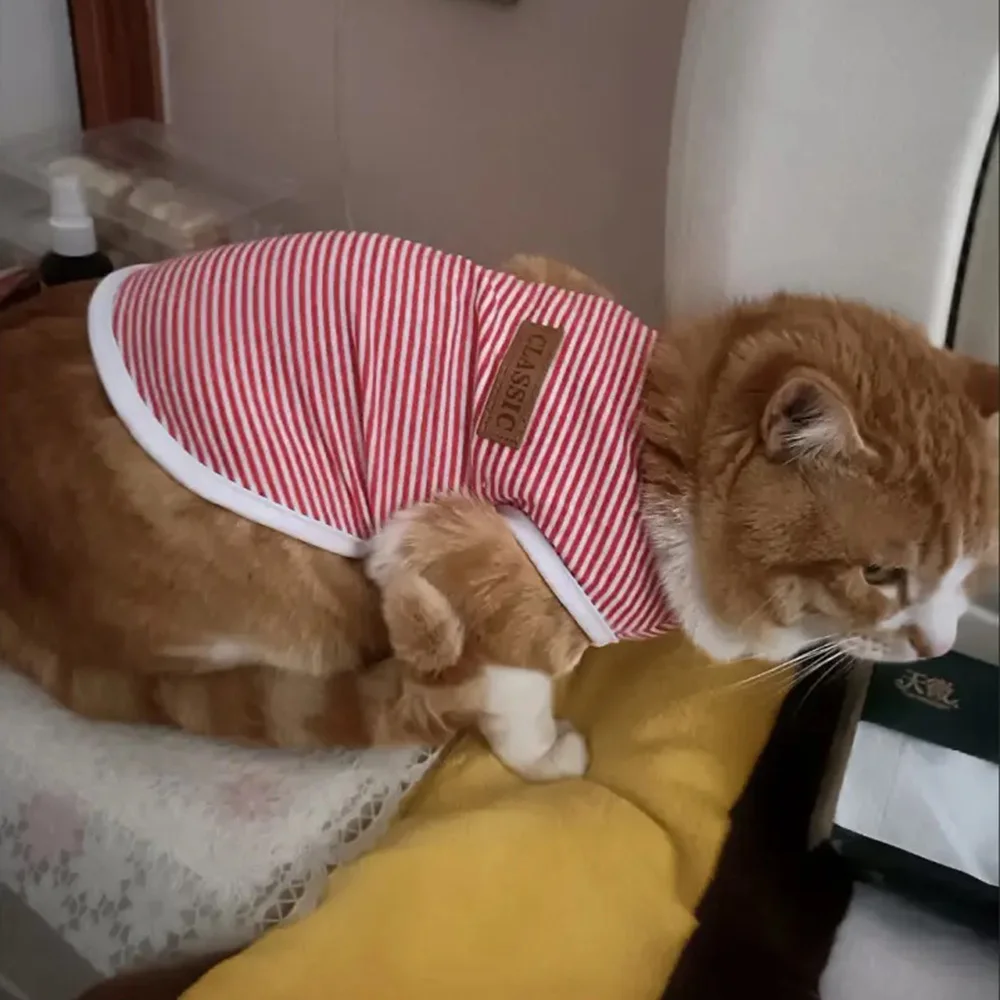 Chaleco de algodón para gatos y cachorros, camiseta clásica a rayas sin mangas para mascotas, ropa para perros pequeños, gatos y gatitos, ropa para gatos - imagen 4