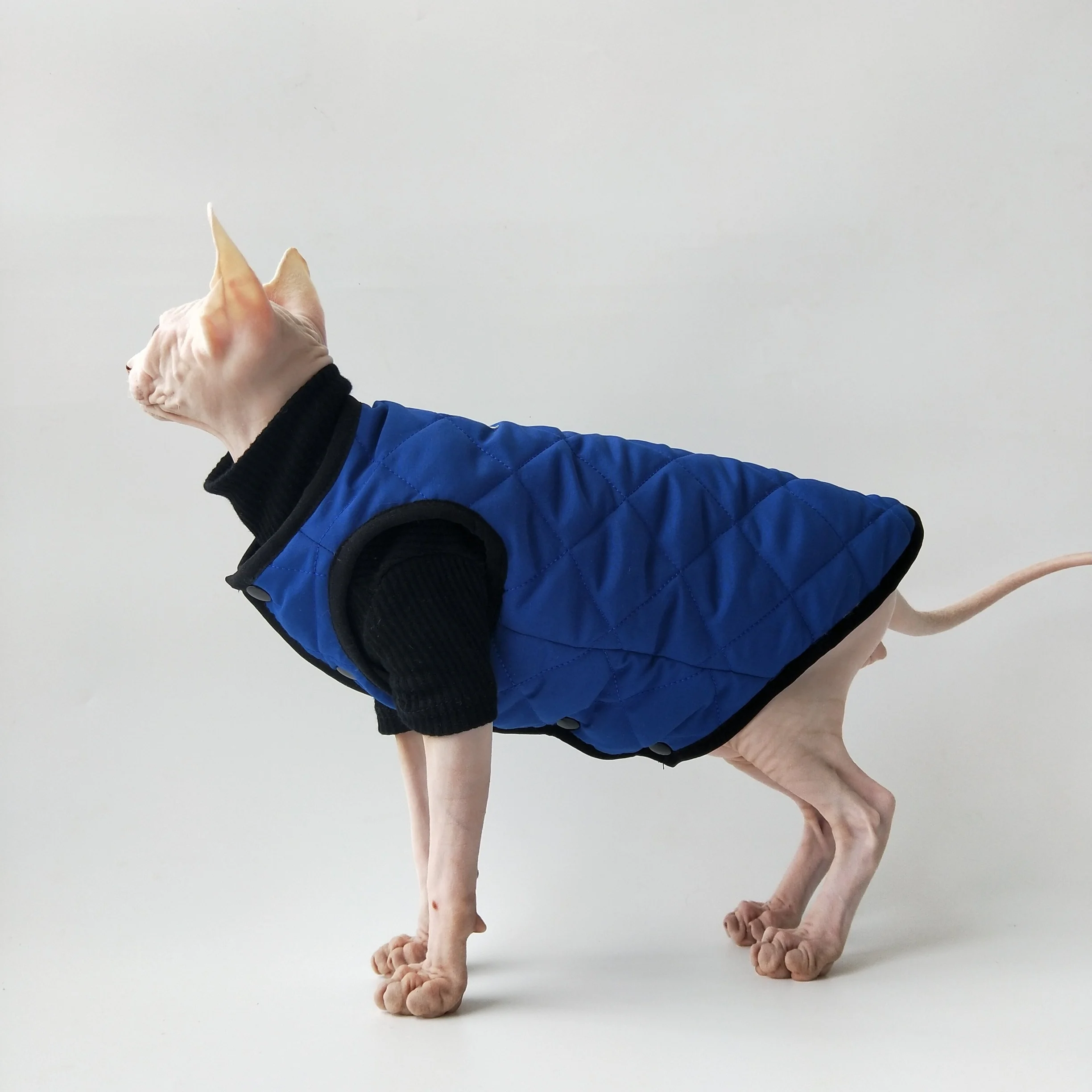 Chaleco con forro polar de algodón para gatos Sphynx otoño invierno - imagen 4