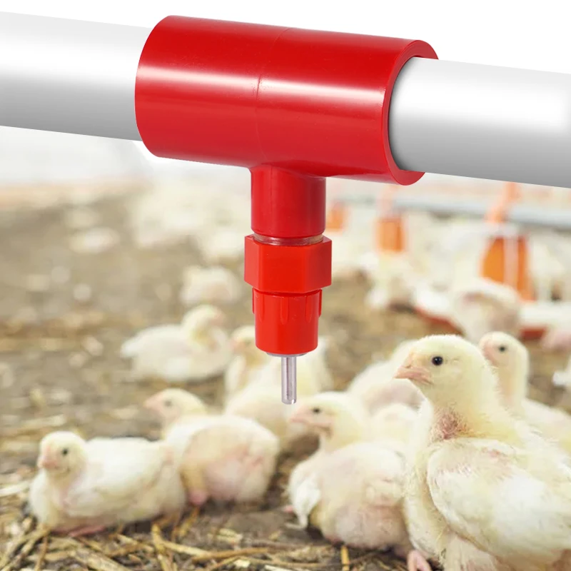 5 Juegos de tetinas de agua para pollos/accesorios en T de PVC de 1/2 ", Kit de bebederos para aves de corral completamente automático, bebedero de agua para pollos, paquete de 10 - imagen 5