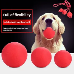 Pelota roja resistente a mordeduras para perros – Juguete elástico de entrenamiento