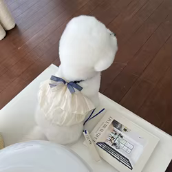 Vestido de Primavera para perros pequeños – Falda floral ligera