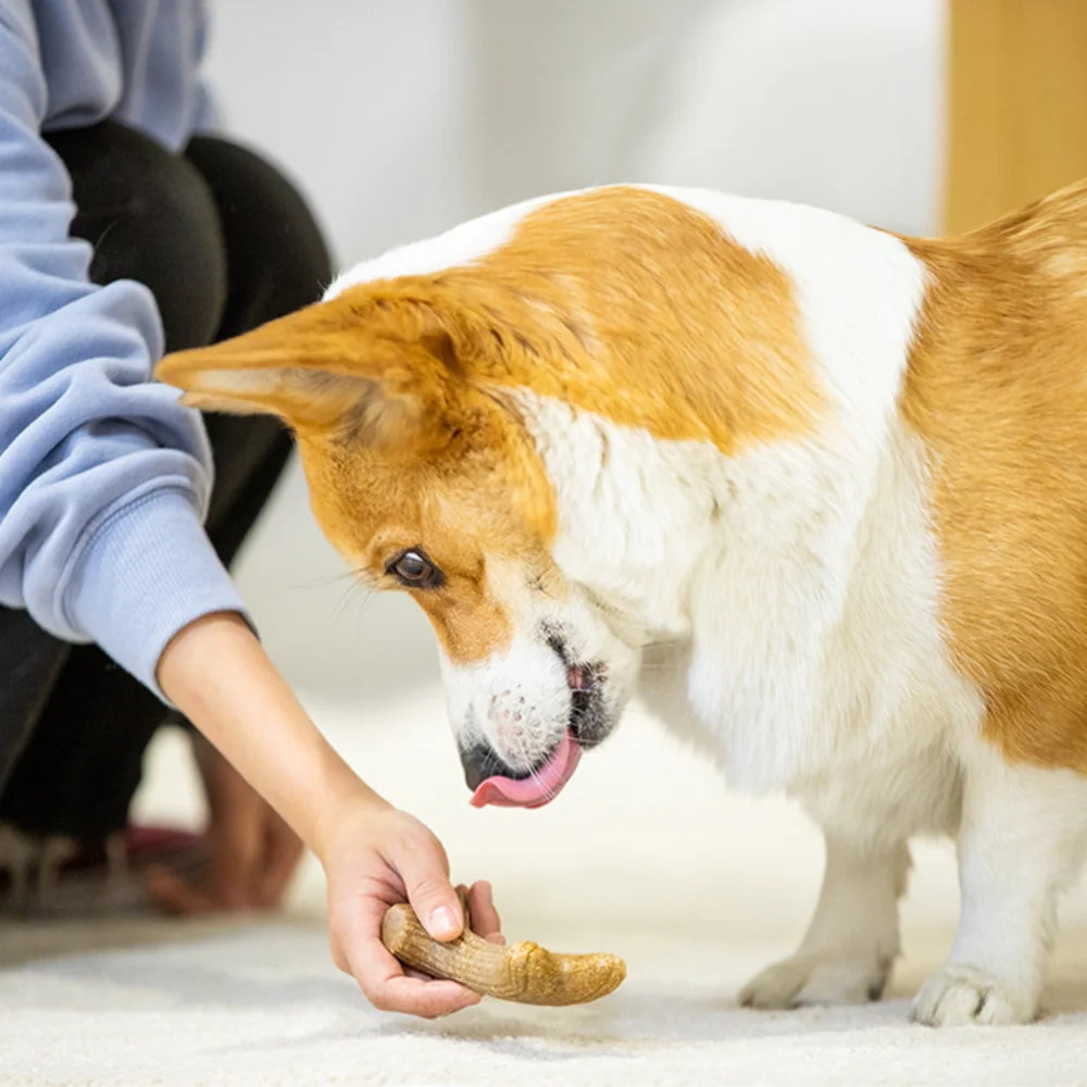 Juguete para masticar con astas de ciervo: compuesto de madera y plástico con pino natural para perros: dentición duradera y no tóxica para masticadores agresivos - imagen 4