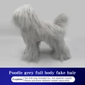 Poodle Hair grey