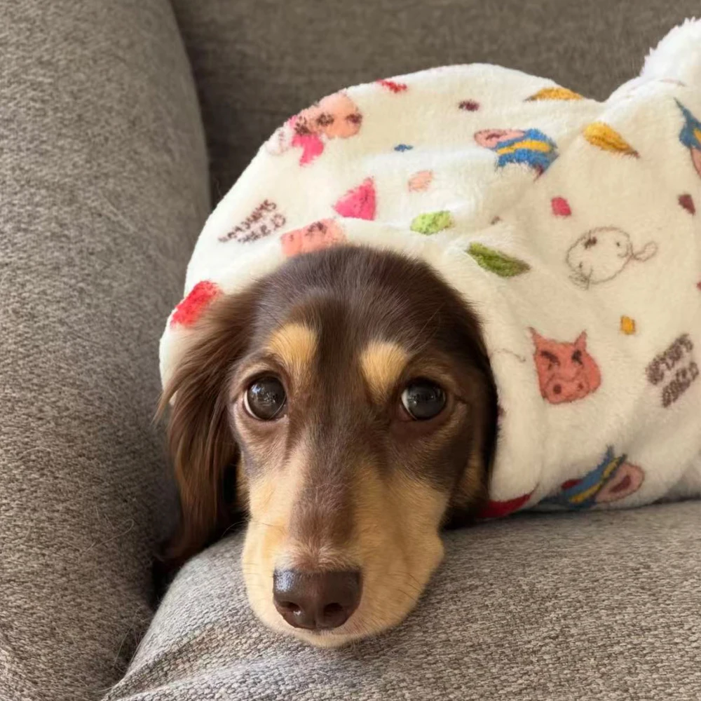Suéter forro polar capucha para Dachshund – abrigo grueso y cálido - imagen 2