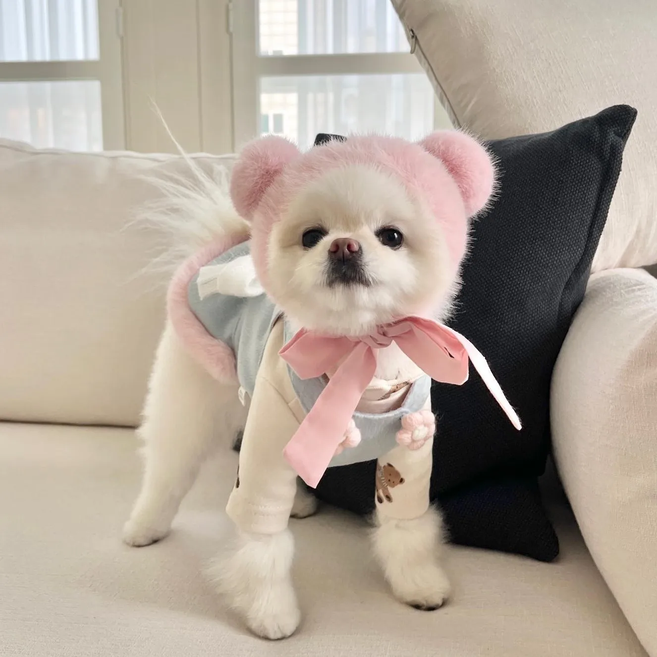 Instagram-vestido de invierno para perro, falda de lana azul y rosa, dobladillo de piel de conejo, orejas de oso, cuello Halter, sombrero de perro, pinzas para el pelo - imagen 2