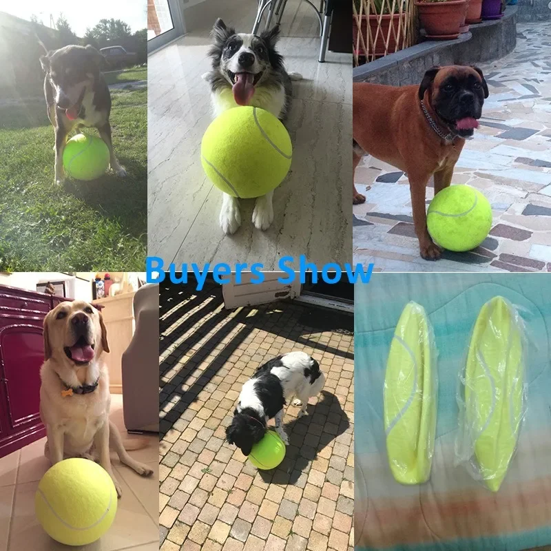 Juguete para mascotas, pelota de tenis inflable, entrenamiento de goma, fuerza elástica, juguete para perros, M-XL, suministros de productos, pelota resistente a mordeduras supermuñecidas - imagen 4