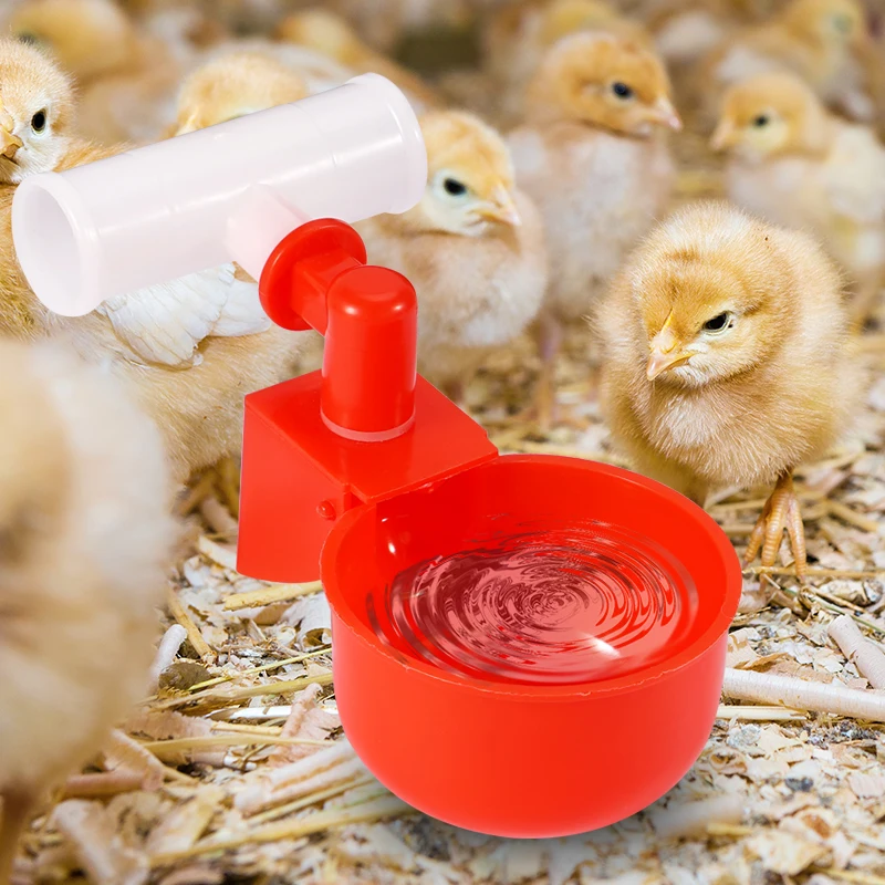 Bebedero automático para tazas de agua y pollos, 12/24 Uds., con tubería de agua de 1/2 pulgadas, alimentador para aves de corral, Kit de cuencos para gallinas, bebedero grande - imagen 2