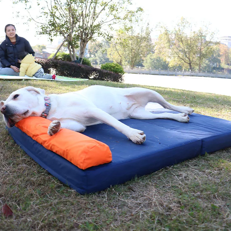 Cama camping para perros – Impermeable, desmontable y lavable - imagen 2