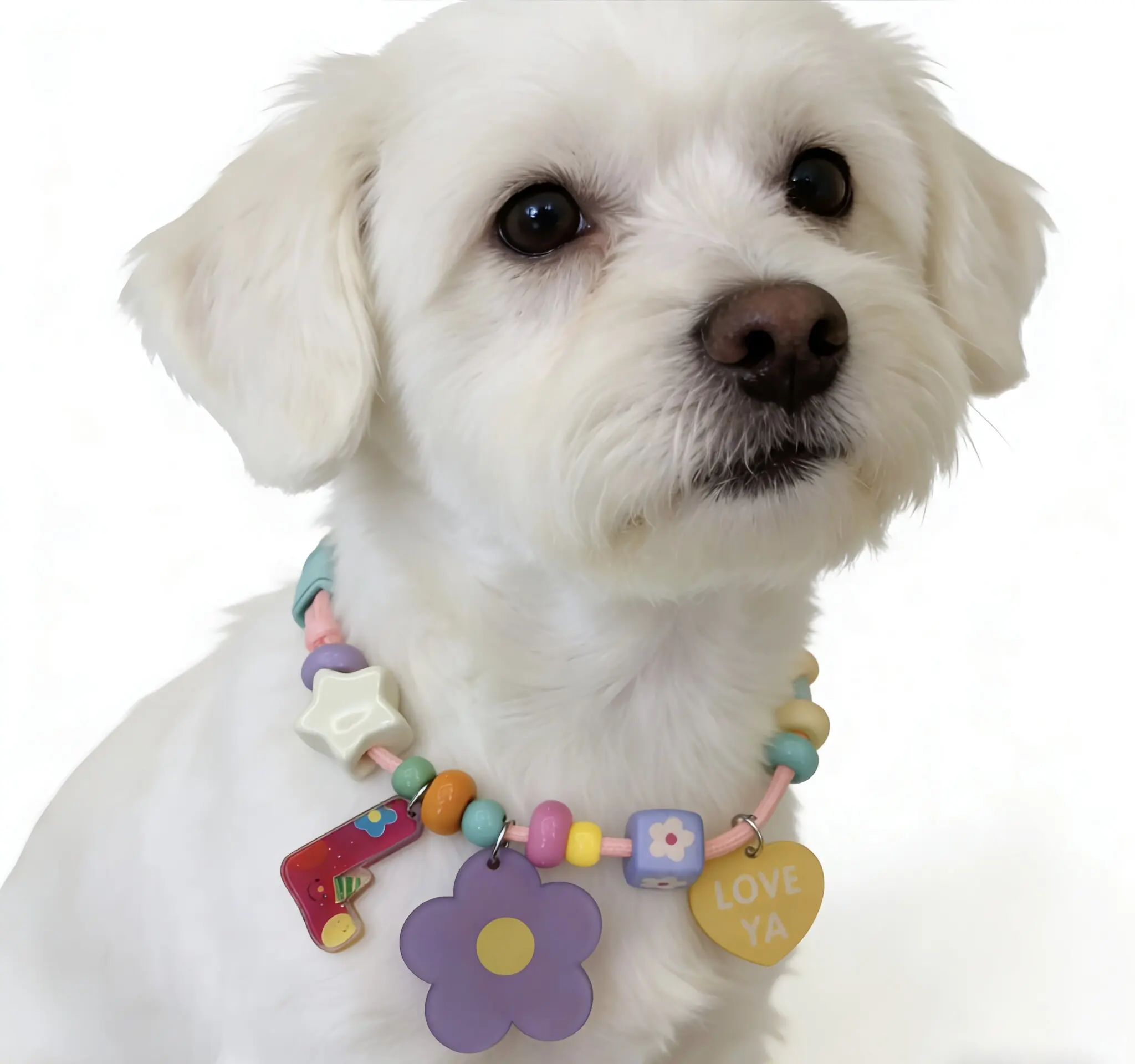 Collar luminoso personalizado con flores ajustable para perro y gato
