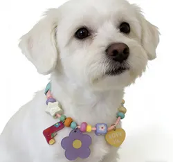 Collar luminoso personalizado con flores ajustable para perro y gato