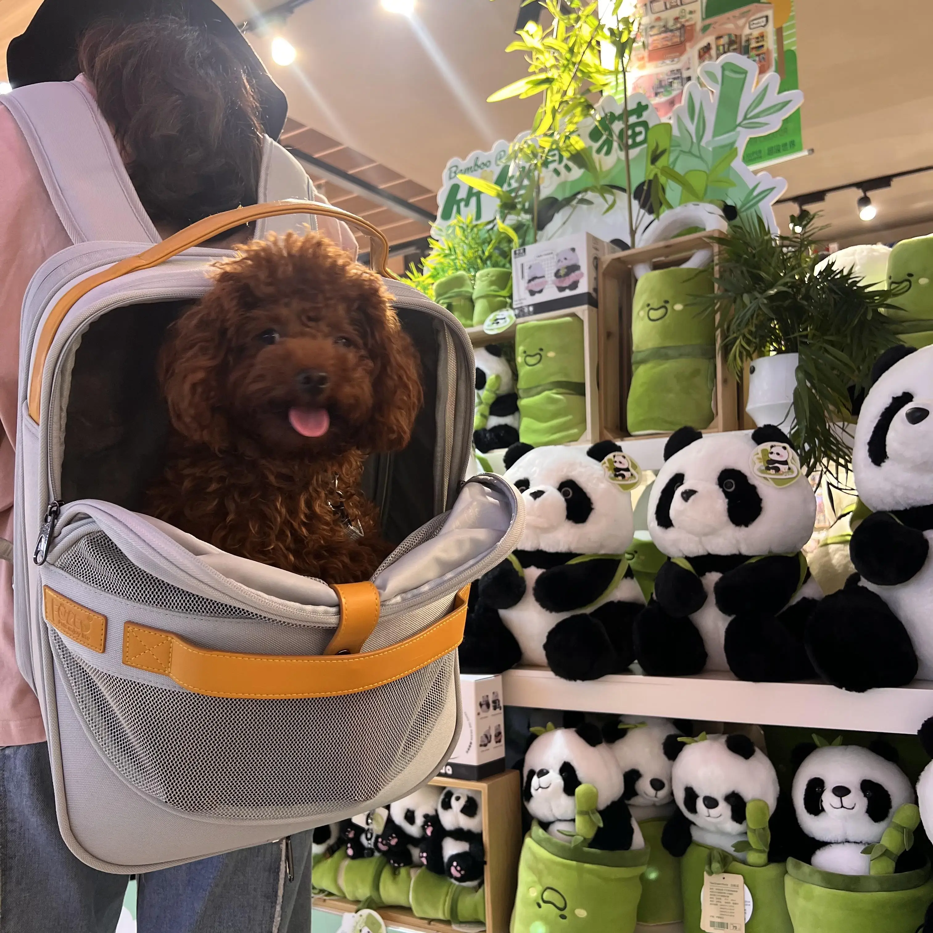 Mochila transportadora de perros transpirable para perros y gatos pequeños a medianos con diseño Head out Cómoda viaje de senderismo manos libres - imagen 5