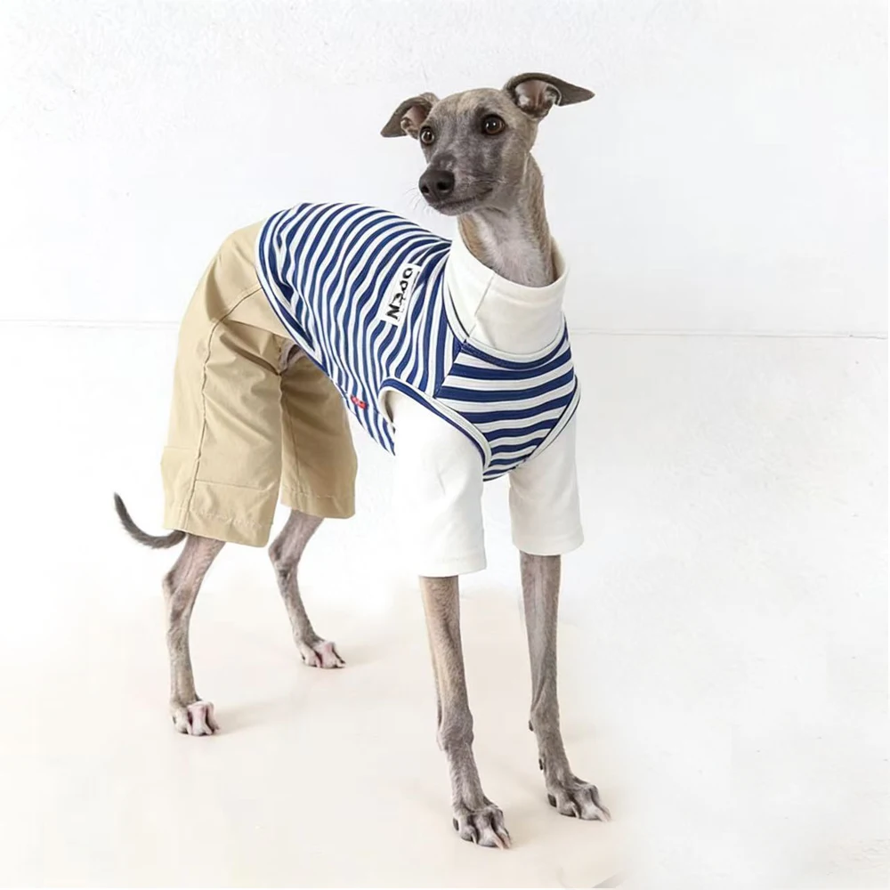 Mono de rayas algodón para Whippet y Galgo Italiano – Ropa primavera - imagen 2