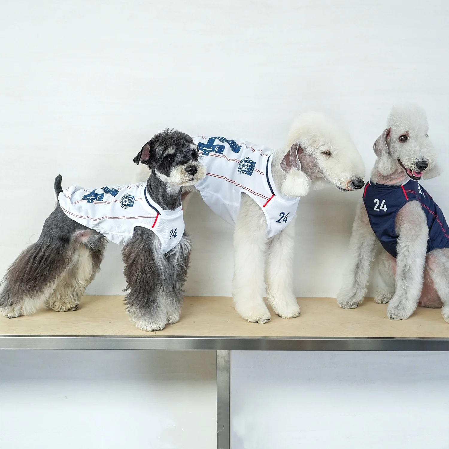 Chaleco de malla transpirable para Bellington en verano, Camiseta deportiva blanca y azul para Italia, pijamas ligeros y frescos para perros medianos - imagen 3