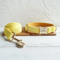 Collar personalizado para perros en terciopelo grueso, grabado gratis