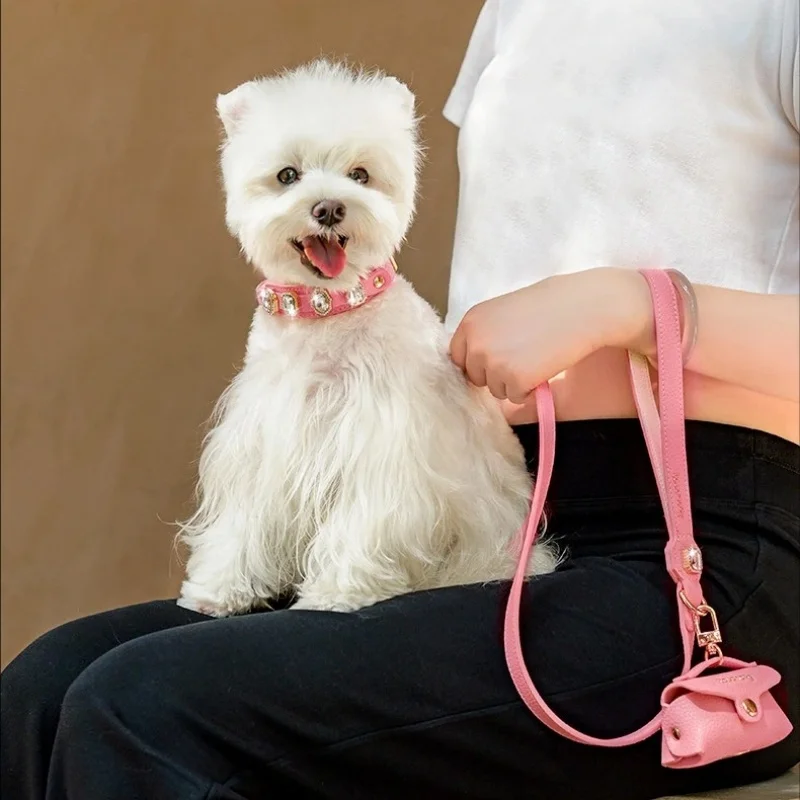 Conjunto collar y correa de lujo para perro con cristales, soporte bolsas - imagen 2