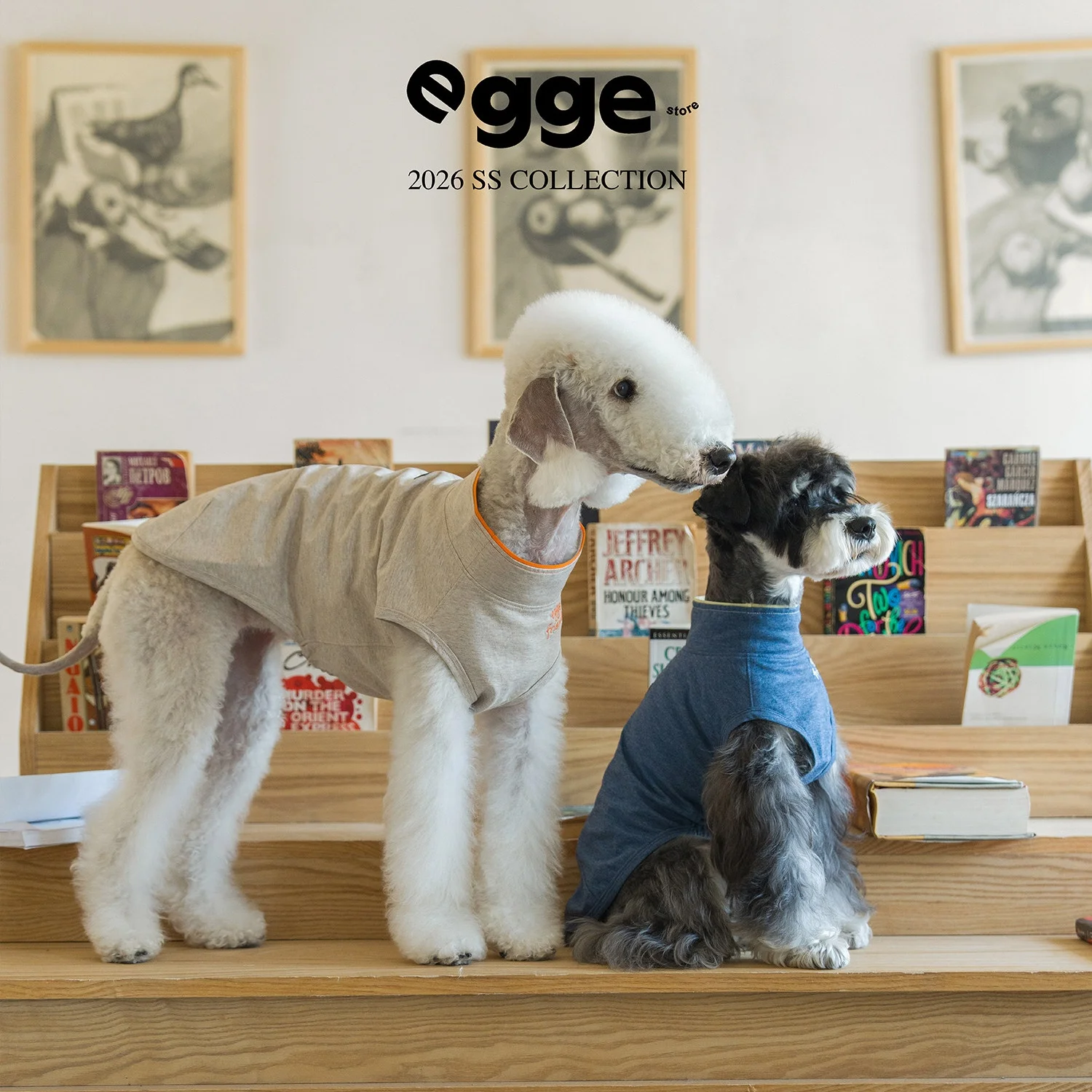 Chaleco antibacteriano de algodón para perros verano Galgo Italiano - imagen 3
