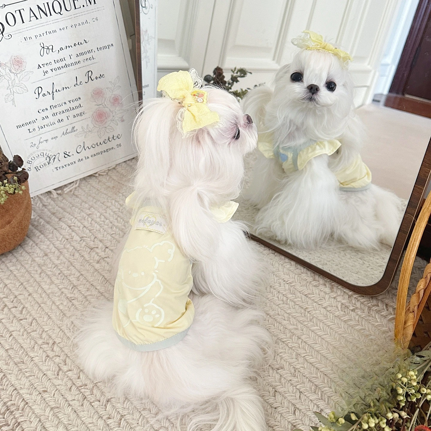 Chaleco con tirantes de manga voladora para mascotas, ropa para gatos, ropa fresca con protección solar, chaleco con luz nocturna, ropa fresca - imagen 2