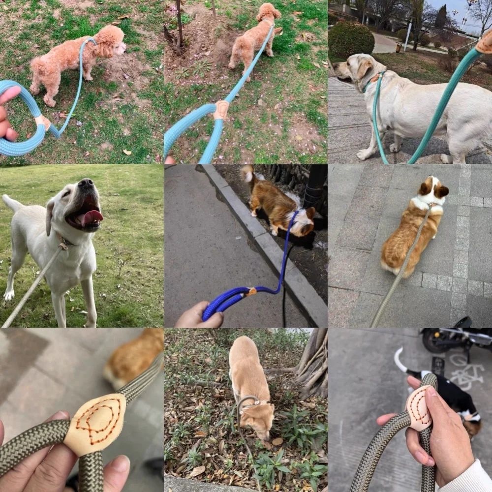 Correa para perro de 1,5 M/1,8 M, cuerda antideslizante, correa de plomo, cuerda trenzada resistente, Collar de bucle ajustable, correas de entrenamiento para perros medianos y grandes - imagen 2